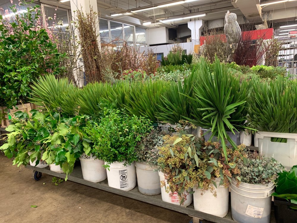 HOLLAND FLOWER MARKET 20 Photos & 10 Reviews 755 Wall St, Los