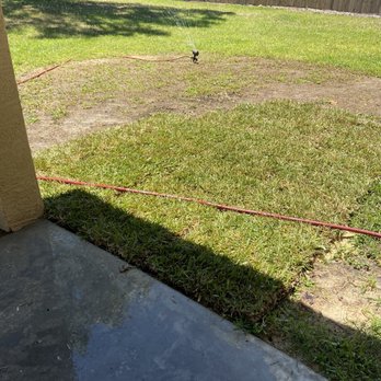 Circle T Sod Farms - Great looking Sod. Augustine and Bahia we got - Nurseries & Gardening Near Me - Homosassa, Florida Circle T Sod Farms - Great looking Sod. Augustine and Bahia we got - Nurseries & Gardening Near Me - Homosassa, Florida