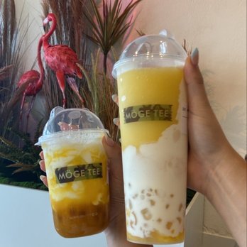 Möge Tee-Jacksonville - Bubble Tea Near Me - Jacksonville, Florida Möge Tee-Jacksonville - Bubble Tea Near Me - Jacksonville, Florida