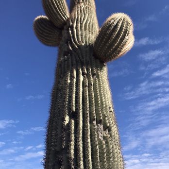 Pima Canyon South Mountain - Hiking Near Me - Phoenix, Arizona