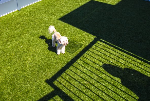 Zig Apartments by null