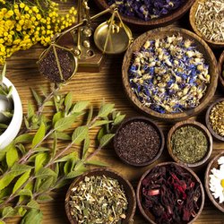 Natural Wellness Therapy - Herbs & natural remedies can prevent unnecessary discomfort & even soothe disease.