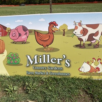 Miller Country Gardens - farm animals and pumpkins - Nurseries & Gardening Near Me - Delaware, Ohio