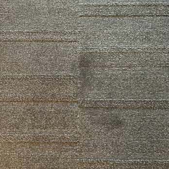Home2 Suites by Hilton Rapid City - Massive stain on the carpet - Hotels Near Me - Box Elder, South Dakota Home2 Suites by Hilton Rapid City - Massive stain on the carpet - Hotels Near Me - Box Elder, South Dakota