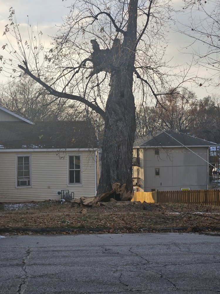 Hale Trees service - tree service in Tonganoxie, KS
