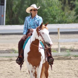 King Performance Horses