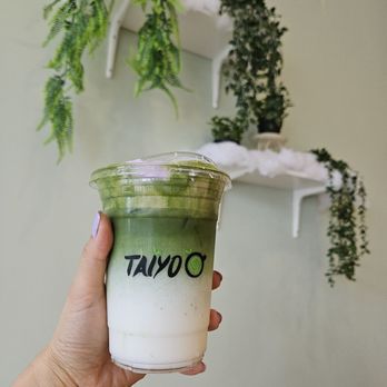 TAIYO MATCHA - Coffee & Tea Near Me - Jacksonville, Florida TAIYO MATCHA - Coffee & Tea Near Me - Jacksonville, Florida