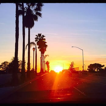 Armandos Gardening Service - Started the day early - Landscaping Near Me - Downey, California Armandos Gardening Service - Started the day early - Landscaping Near Me - Downey, California