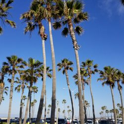 Balboa Catalina Parking