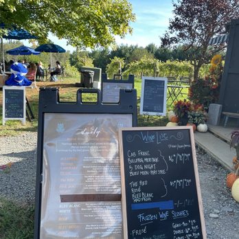 Bleu Frog Vineyards - Wine Tasting Room Near Me - Leesburg, Virginia Bleu Frog Vineyards - Wine Tasting Room Near Me - Leesburg, Virginia