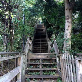 Filbert Steps - Local Flavor Near Me - San Francisco, California