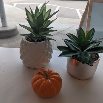 Fruition Acai & Juice Bar - Look at that pumpkin! - Acai Bowls Near Me - Grand Rapids, Michigan