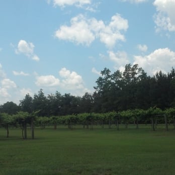 Silver Coast Winery - Vines on the front lawn - Wineries Near Me - Ocean Isle Beach, North Carolina Silver Coast Winery - Vines on the front lawn - Wineries Near Me - Ocean Isle Beach, North Carolina