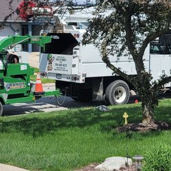 R & T Tree Experts - Team