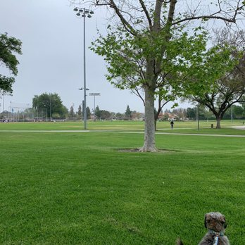Cerritos Park East - Dog friendly - Tennis Near Me - Cerritos, California Cerritos Park East - Dog friendly - Tennis Near Me - Cerritos, California
