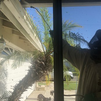 Bee Busters - Pest Control Near Me - Laguna Hills, California Bee Busters - Pest Control Near Me - Laguna Hills, California