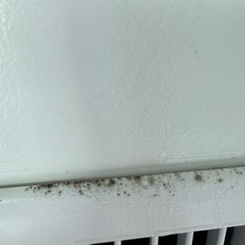 Margaritaville Beach Hotel Jacksonville Beach - Moldy vent - Hotels Near Me - Jacksonville Beach, Florida Margaritaville Beach Hotel Jacksonville Beach - Moldy vent - Hotels Near Me - Jacksonville Beach, Florida