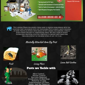 Pestex - Pest Control Near Me Pestex - Pest Control Near Me