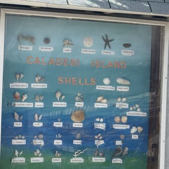 Caladesi Island State Park - Parks Near Me - Dunedin, Florida