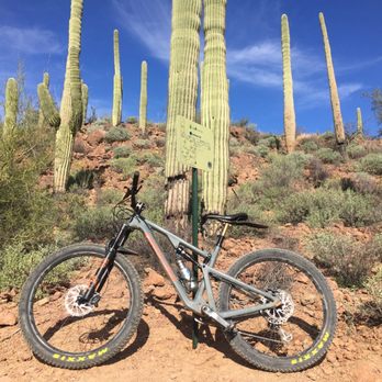 Sweetwater Preserve - Santa Cruz, Tallboy, next to some tallboy Saguaro~ - Hiking Near Me - Tucson, Arizona Sweetwater Preserve - Santa Cruz, Tallboy, next to some tallboy Saguaro~ - Hiking Near Me - Tucson, Arizona