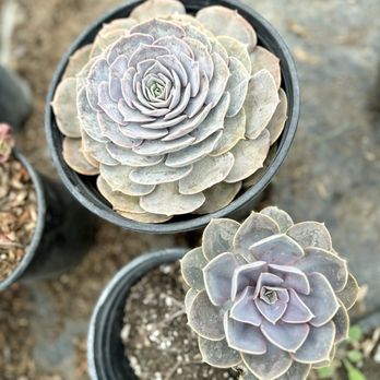 1. RV Nursery