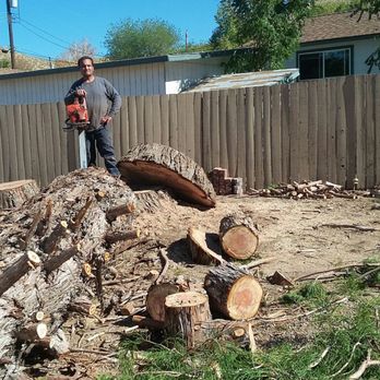 Gwyns Tree Service - Tree Services Near Me - Reno, Nevada Gwyns Tree Service - Tree Services Near Me - Reno, Nevada