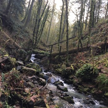 Macleay Park - Parks Near Me - Portland, Oregon