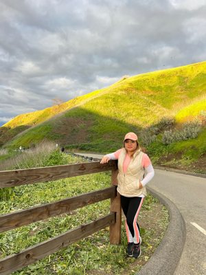Chino Hills State Park by null