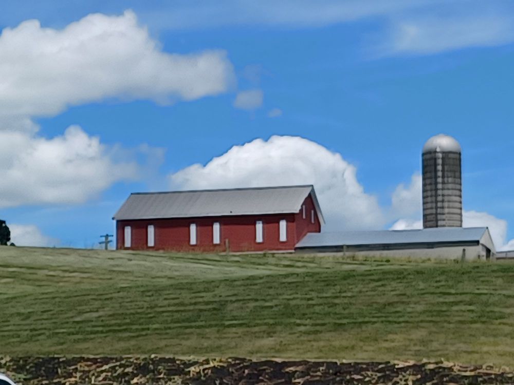 Food from Bardine's Country Smokehouse