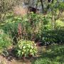 Photo of Gemini Landscaping Services