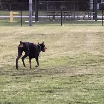Happy Tails Dog Park - Dog Parks Near Me - Plantation, Florida Happy Tails Dog Park - Dog Parks Near Me - Plantation, Florida