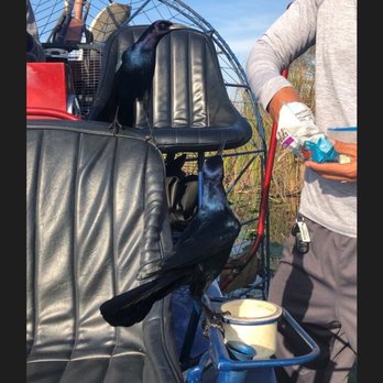 Everglades Nature Tours - Males have a deeper color!! Absolutely beautiful! - Fishing Near Me - Parkland, Florida