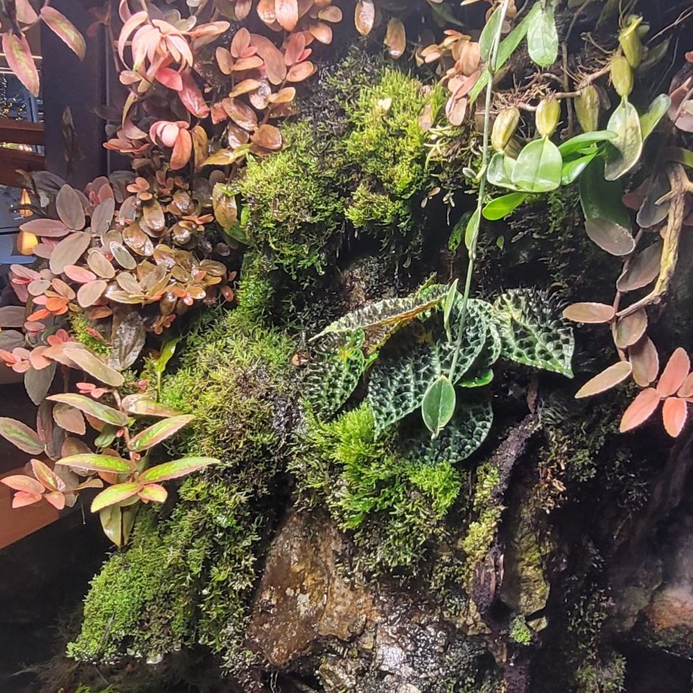 Amazon Spheres - Botanical Gardens Near Me - Seattle, Washington