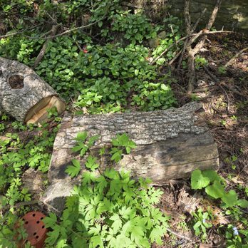 Highland Tree Service - Tree Services Near Me