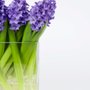 Photo of Flowers by Sabour