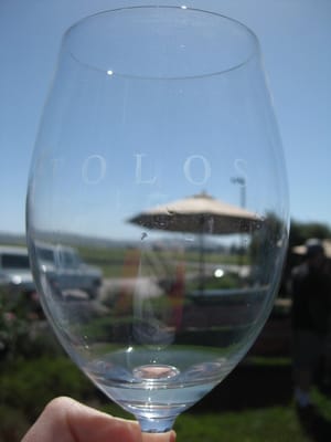 Tolosa Winery by null
