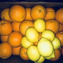 Gary Grossman - Oranges and lemons