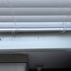 Coral Springs Rehabilitation and Healthcare Center - An ant on a dirty sill under a broken blind.