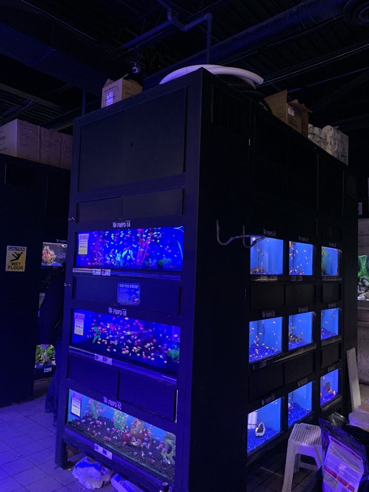 BIG AL’S 56 Photos & 32 Reviews 850 Dundas Street East, Mississauga