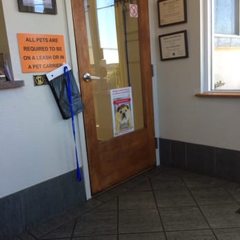 Pacifica Pet Hospital - Veterinarians Near Me - Pacifica, California Pacifica Pet Hospital - Veterinarians Near Me - Pacifica, California