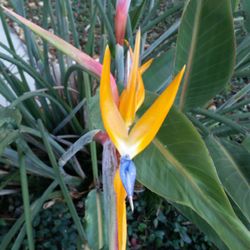 Herslof Family Eye Center - If you don't see all the bright and vivid colors you should be seeing, maybe it is time to get an eye exam. See Herslof's fantastic specials