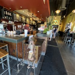 Nervous Dog Coffee Bar - Montrose