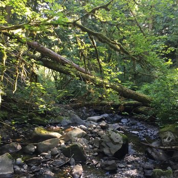 Arroyo Park - Parks Near Me - Bellingham, Washington