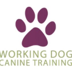 Working Dog Canine Services - Working Dog Canine training