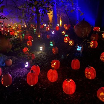 Harvest Nights at Newfields - Festivals Near Me - Indianapolis, Indiana