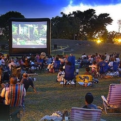 20' x 15' screen