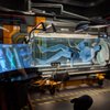 Avatar Flight of Passage gift card
