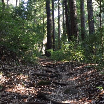 Bothe-Napa Valley State Park - Climbing up Ritchie Canyon Trail. - Parks Near Me - Calistoga, California Bothe-Napa Valley State Park - Climbing up Ritchie Canyon Trail. - Parks Near Me - Calistoga, California