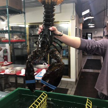 Thurston's Lobster Pound - Seafood Near Me - Bernard, Maine