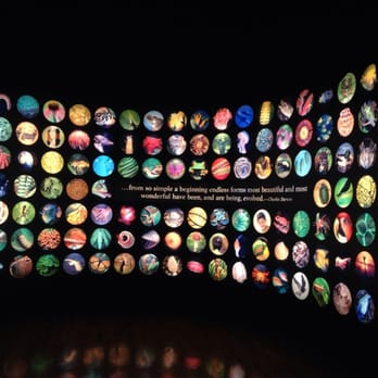 Field Museum - Museums Near Me - Chicago, Illinois Field Museum - Museums Near Me - Chicago, Illinois